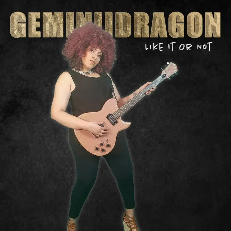 Geminiidragon Like It or Not