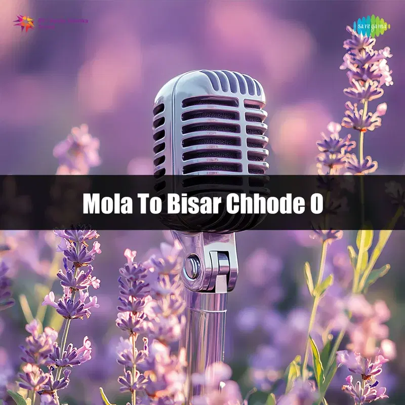 Mola to Bisar Chhode O