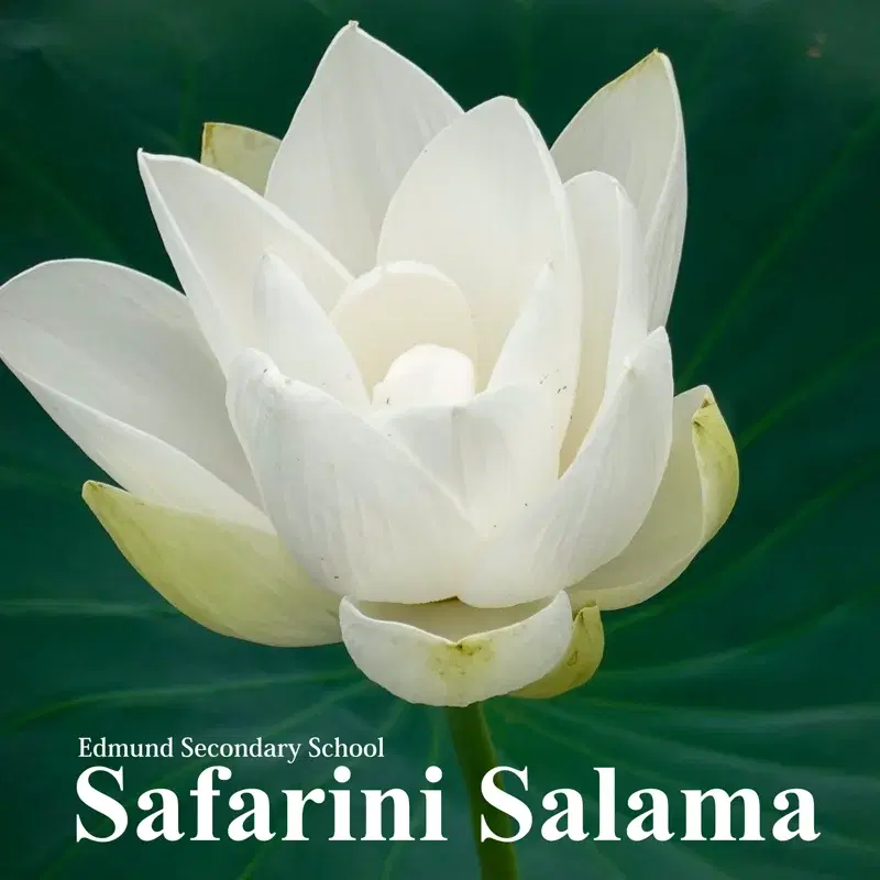 Safarini Salama