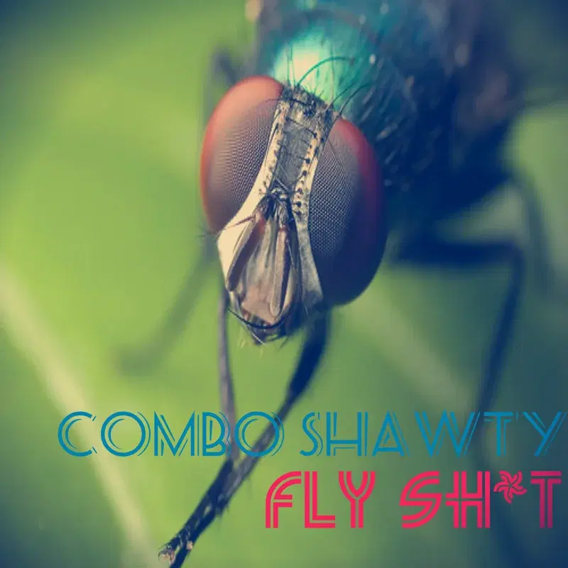 Fly Shit