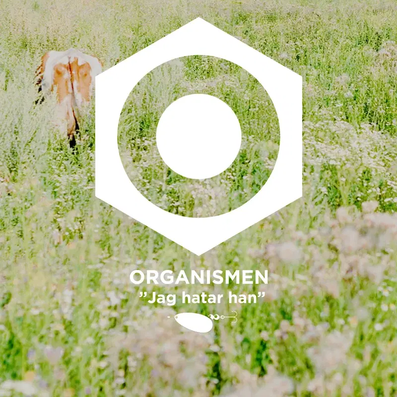 Jag hatar han