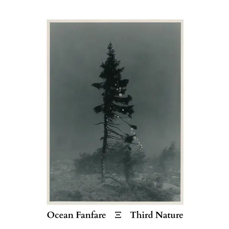 Third Nature
