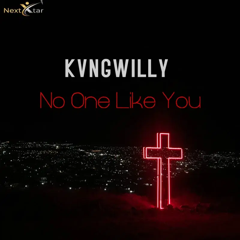 No One Like You