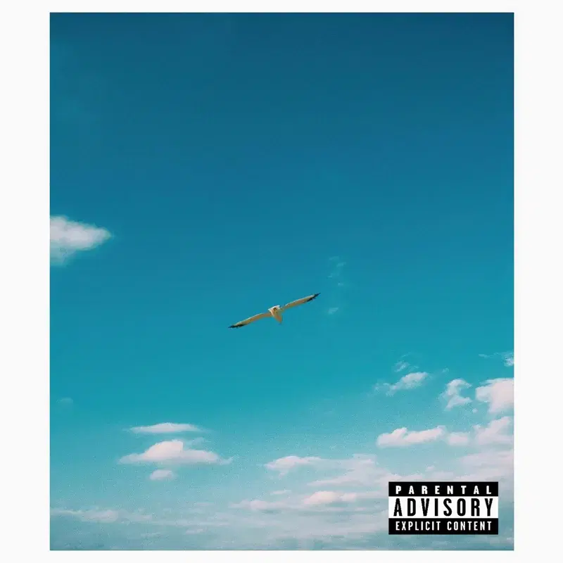 Pass The Skyy