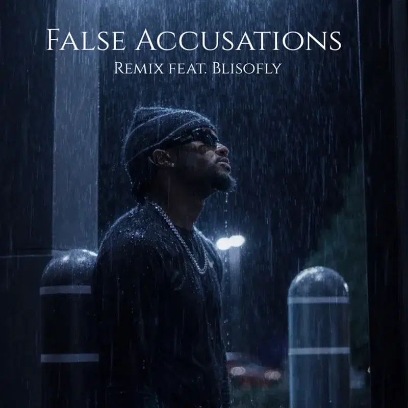 False Accusations (Remix) [feat. Blisofly]