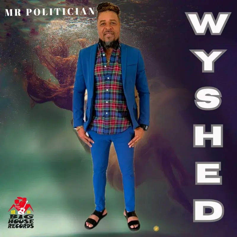 Mr Politician