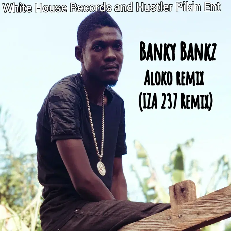 Aloko (Remix )