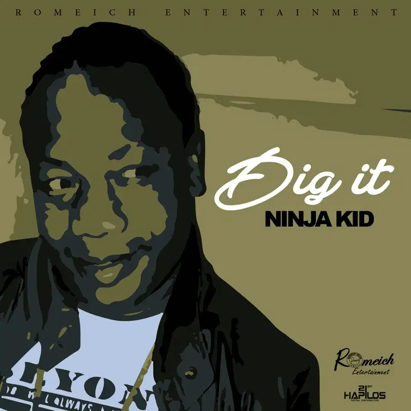 Dig It - Single