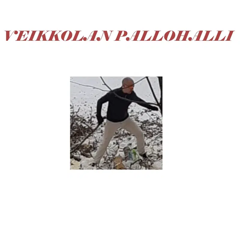 Veikkolan pallohalli