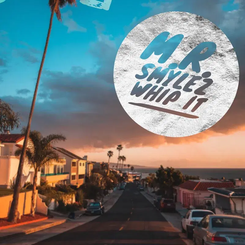 Whip It (Radio Edit)
