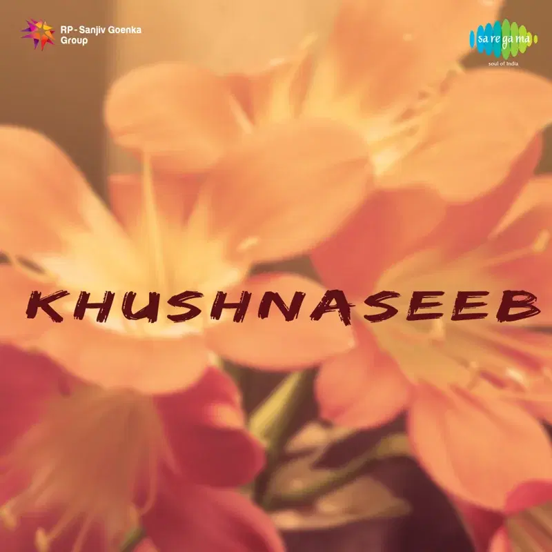 Khushnaseeb (Original Motion Picture Soundtrack)