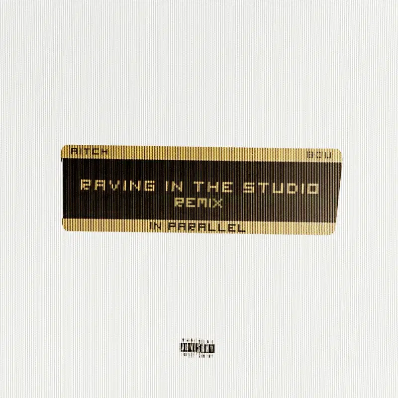 Raving In The Studio