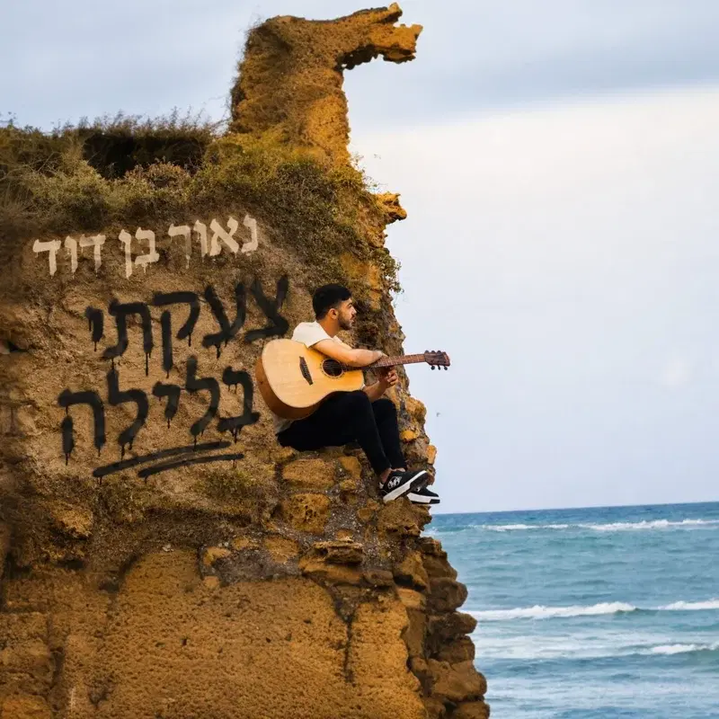 צעקתי בלילה קאבר