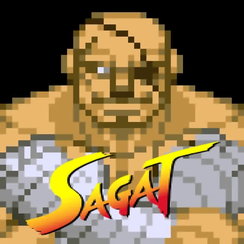 Sagat