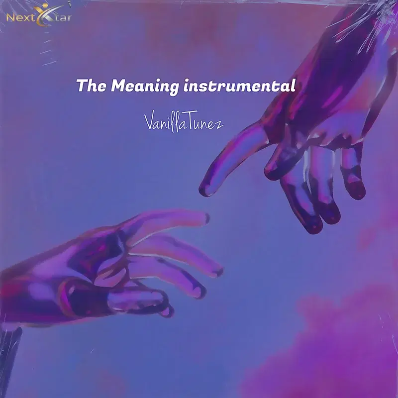 The Meaning Instrumental