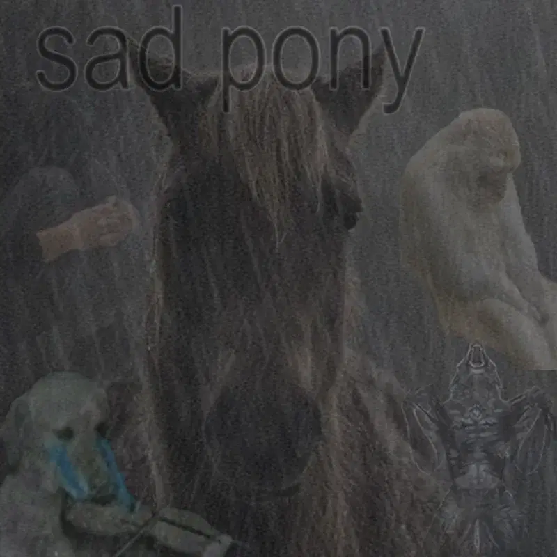 sad pony