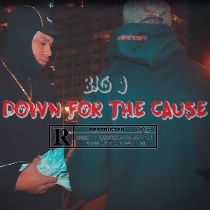 Down for the Cause