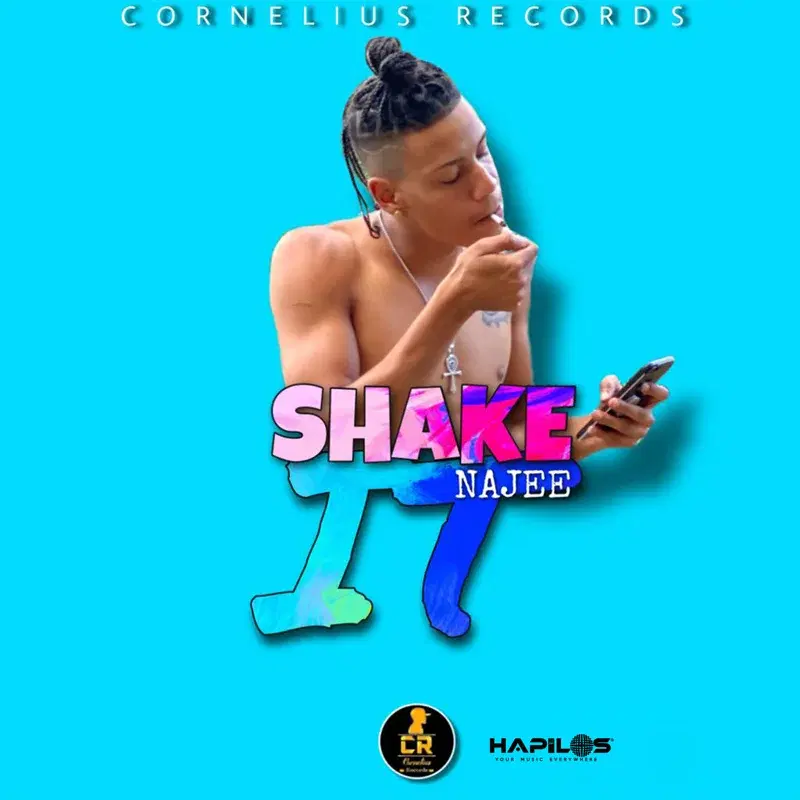 Shake It