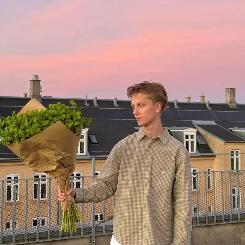 sæsoner