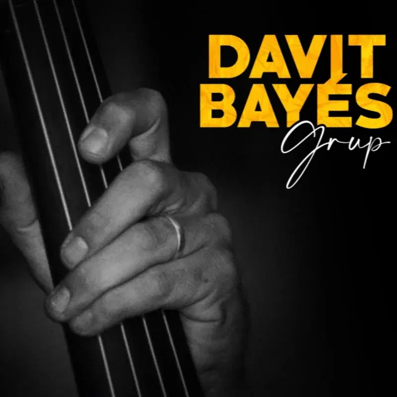 Davit Bayés Grup