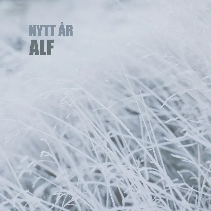 Nytt år