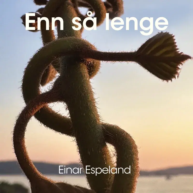 Enn så lenge
