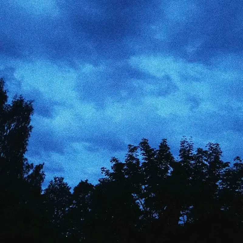 pulse of leaves