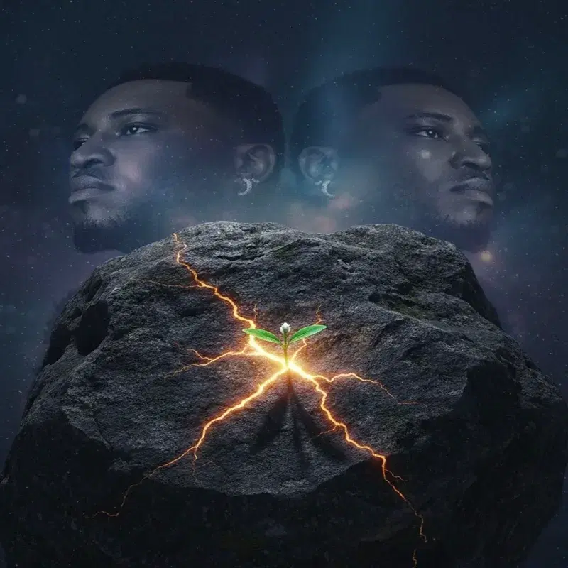 A Seed In The Stone
