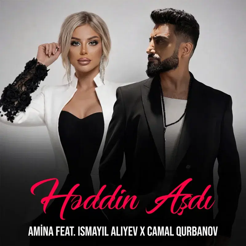 Həddin Aşdı