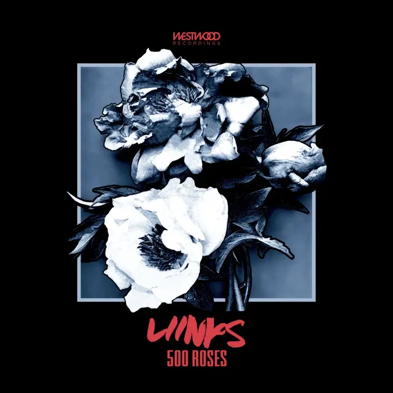 500 Roses
