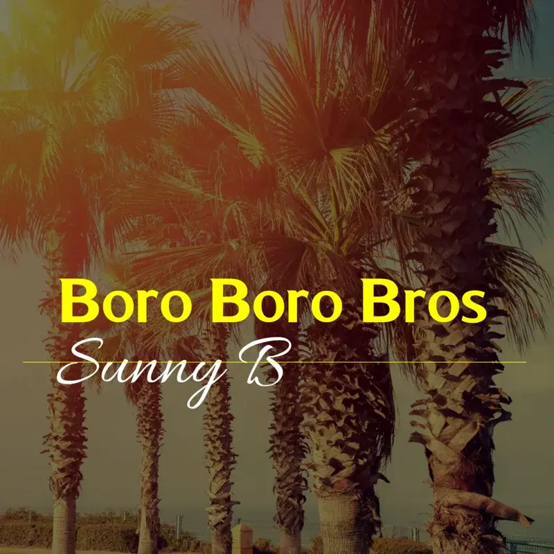 Boro Boro Bros