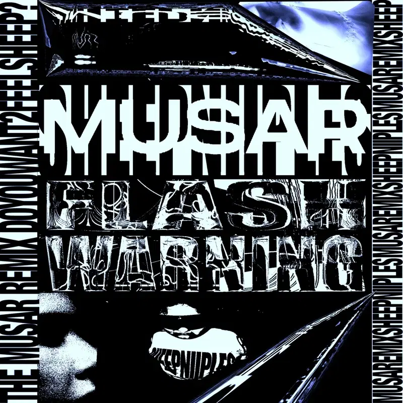 FLASHWARNING
