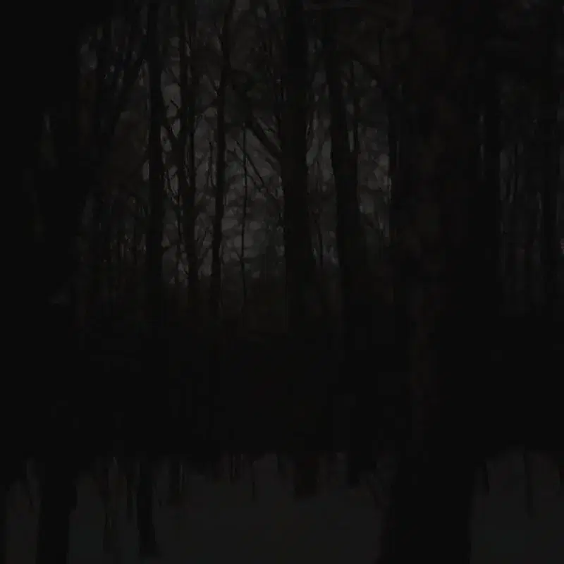 Dark Forest