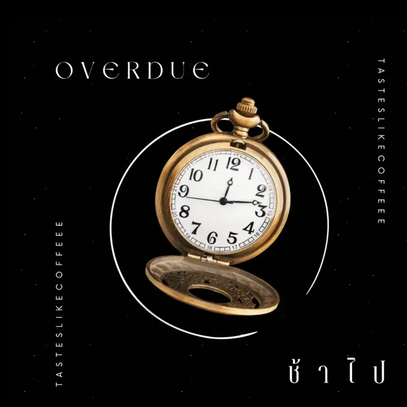ช้าไป (OVERDUE)