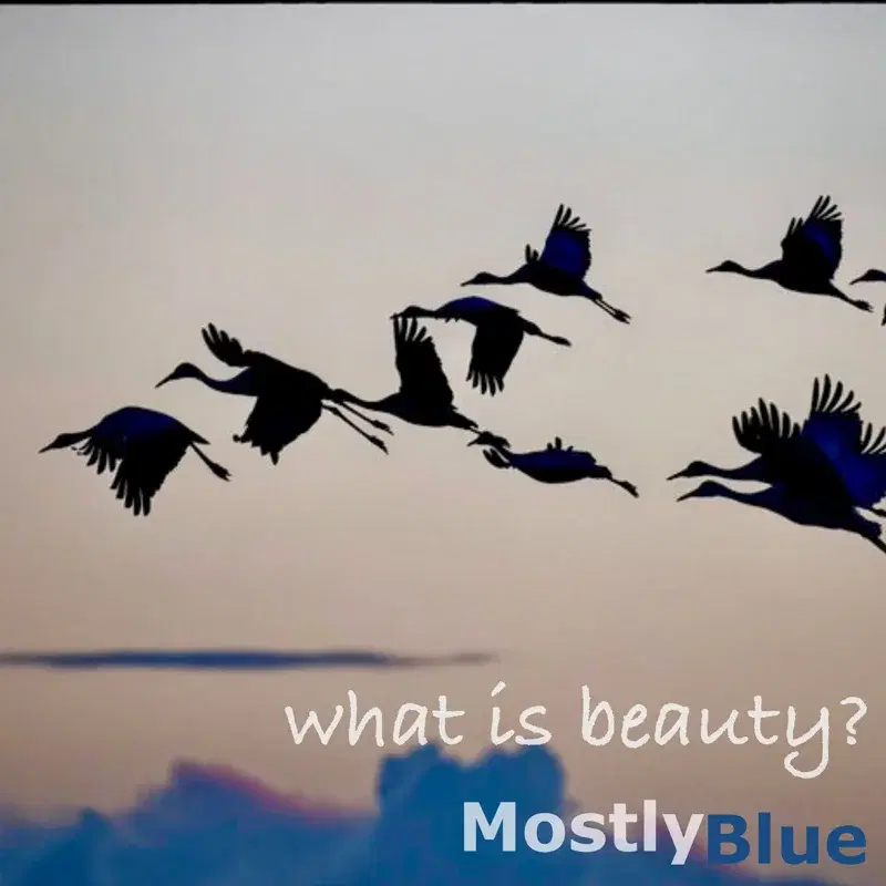 What Is Beauty?
