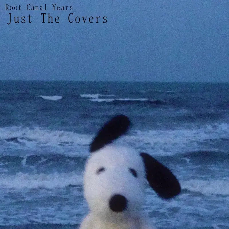 Just The Covers