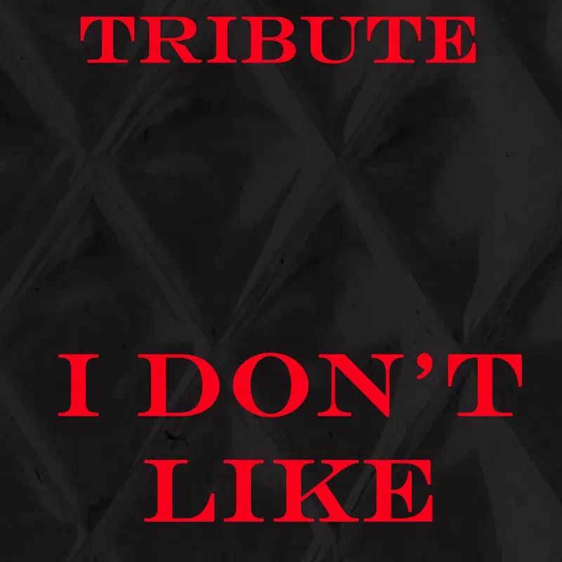 I Don't Like (Tribute to Chief Keef Feat. Lil Reese)