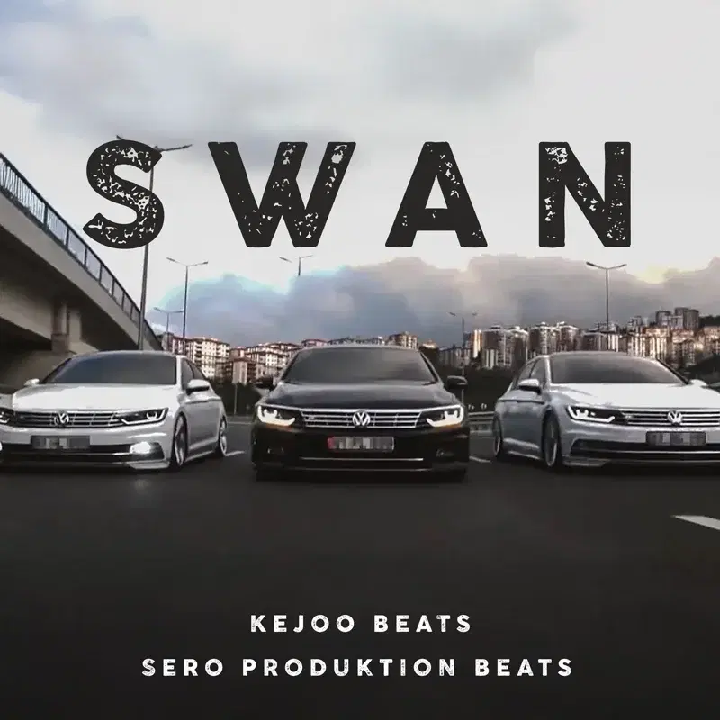 Swan