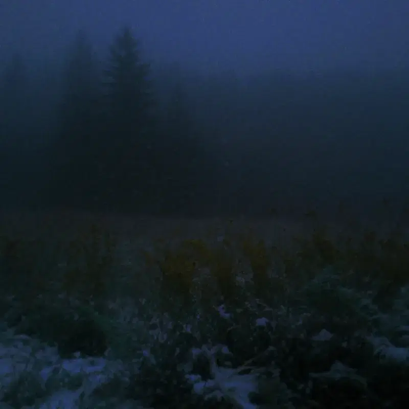 wintering