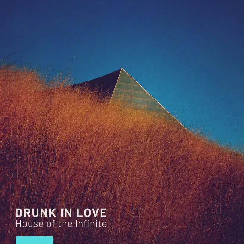 Drunk In Love