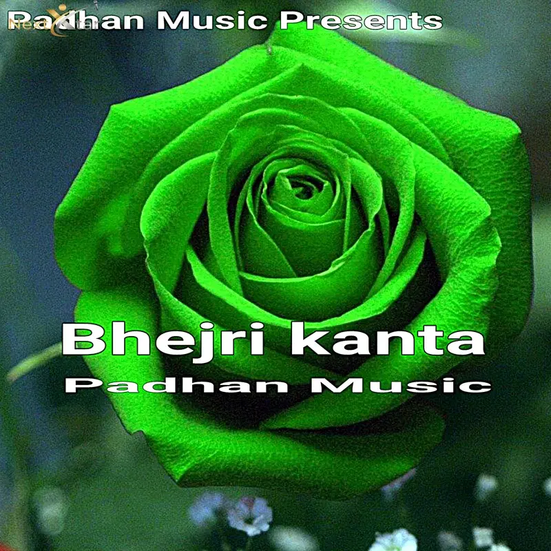 Bhejri Kanta