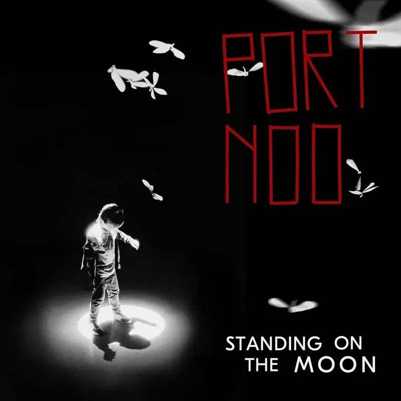 Standing On The Moon