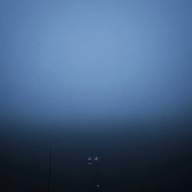 White Out