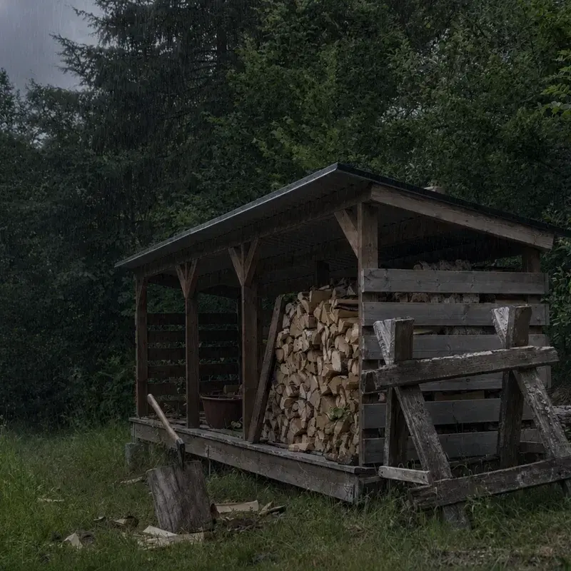 Rain Under the Woodshed