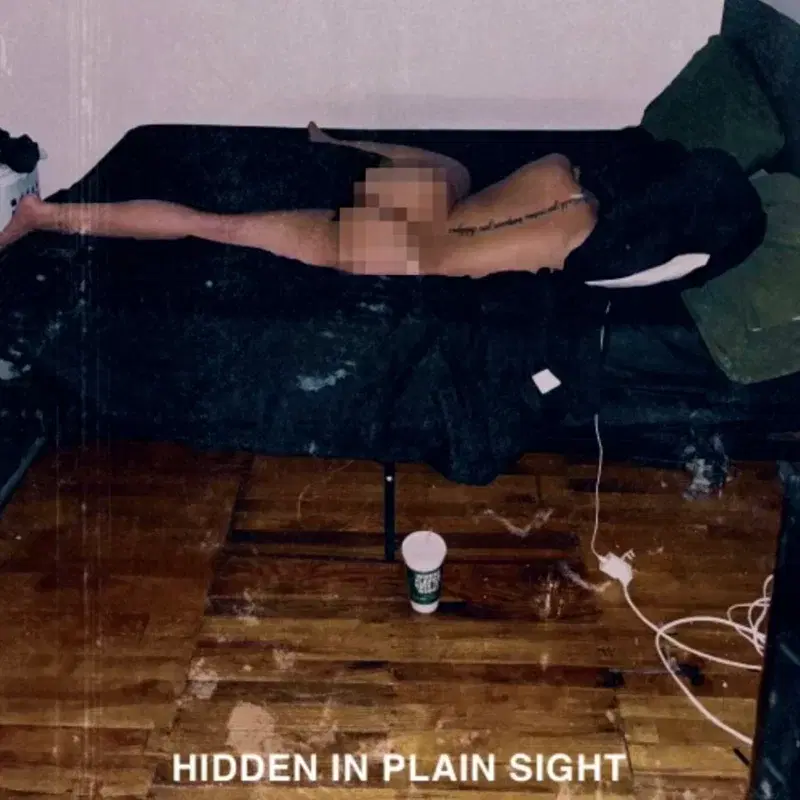Hidden in Plain SIght