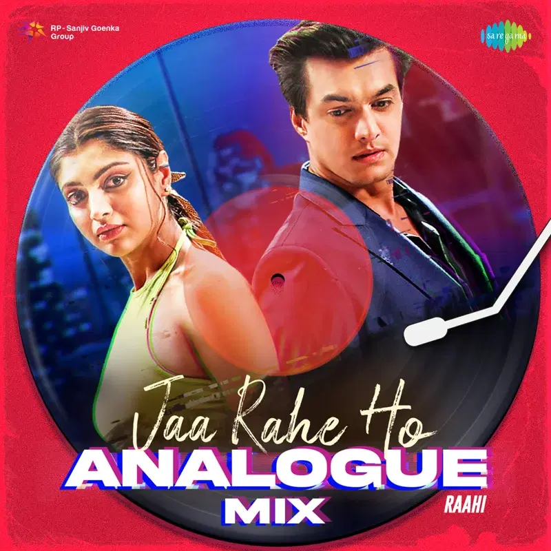 Jaa Rahe Ho (Analogue Mix) - Single