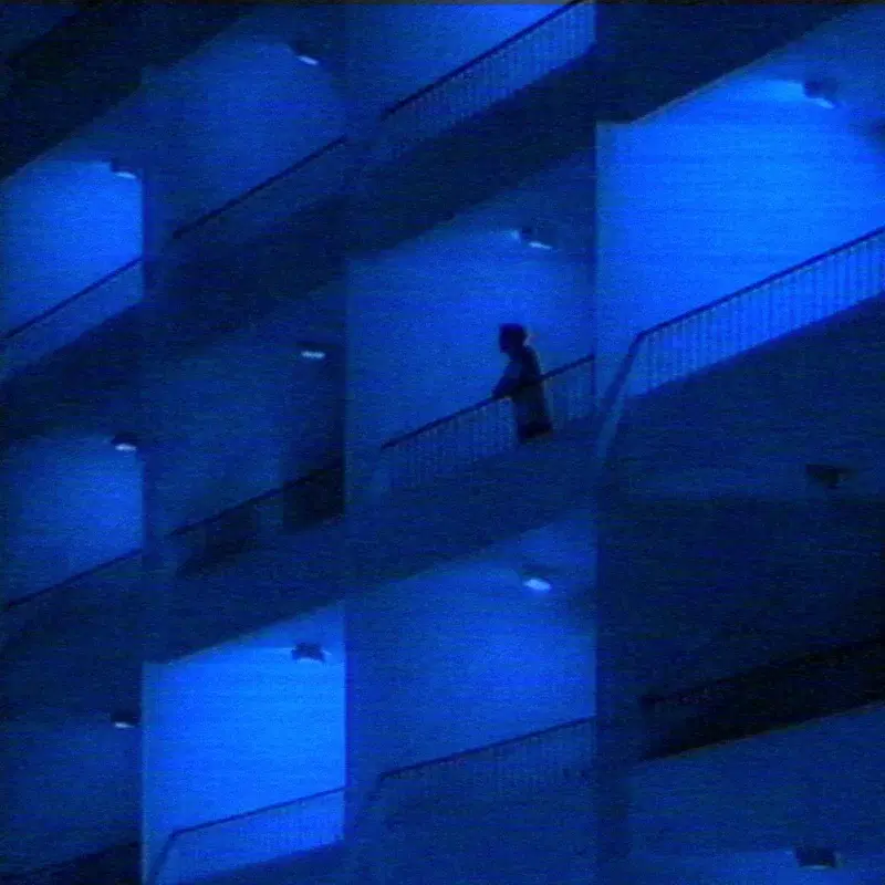 stare at the celling.
