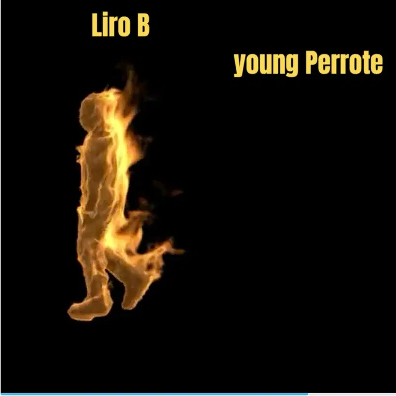Liro B