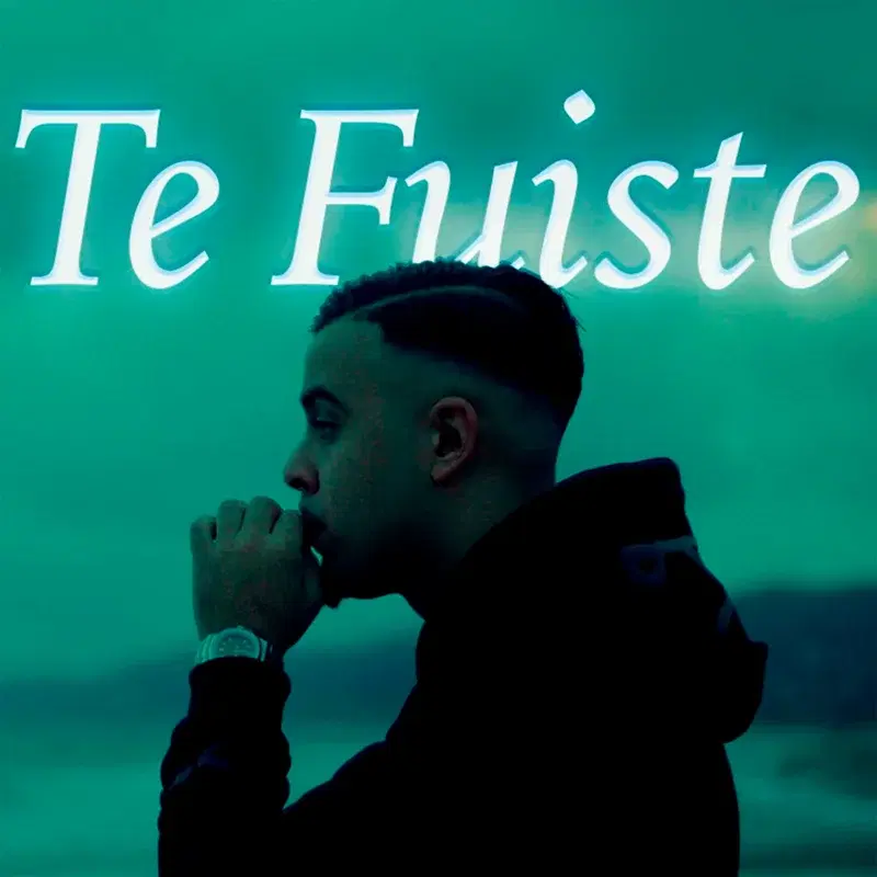 Te Fuiste