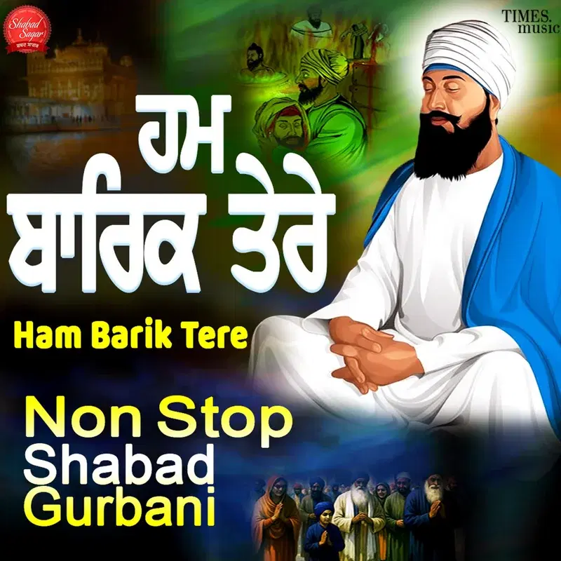 Ham Barik Tere